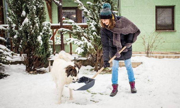 mujer con pala limpiando nieve., perro blanco jugando. Pala de invierno. Quitar la nieve después de la ventisca - Foto, imagen