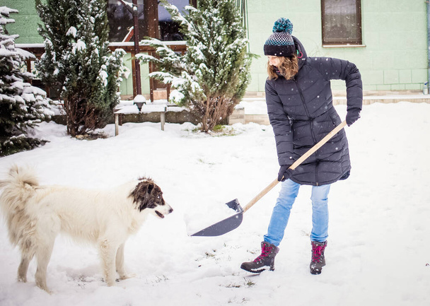 женщина с лопатой убирает снег., играет белая собака. Зимняя лопата. Удаление снега после метели - Фото, изображение