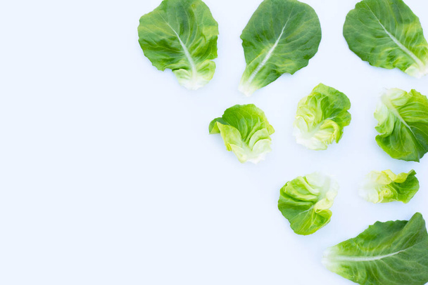 Lettuce leaves on white background. Top view - 写真・画像