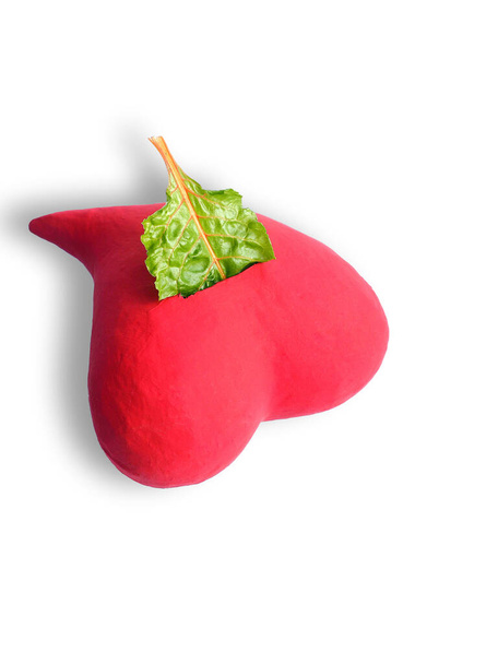 Rode hart moneybox met groene spinazie blad geïsoleerd op witte achtergrond. Gezond eten. Begrepen, ruimte. Verticaal schot. - Foto, afbeelding