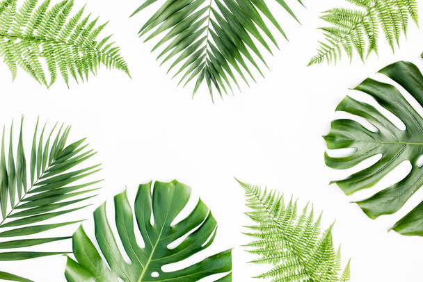Background, pattern with exotic tropical palm leaves monstera on white background. Flat lay, top view. - Fotó, kép