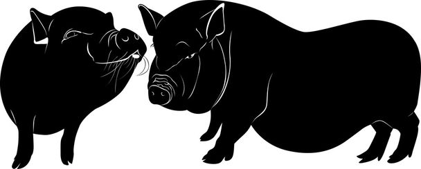 Dois porcos
 - Vetor, Imagem