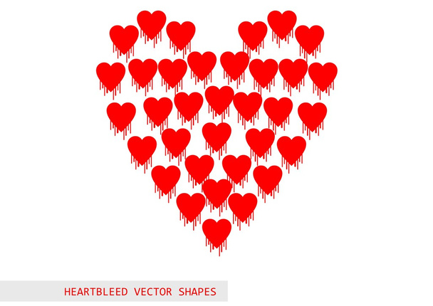 Heartbleed openssl bug vector shape - Vektör, Görsel