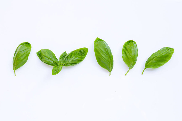 Basil leaves on white background. - Foto, afbeelding