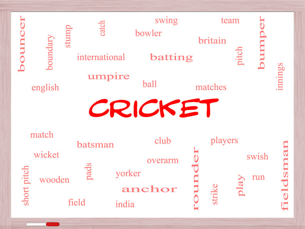 Cricket Word Cloud-Konzept auf einem Whiteboard - Foto, Bild