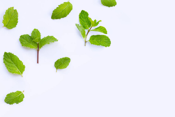 Fresh mint leaves isolated on white background. Copy space - Zdjęcie, obraz