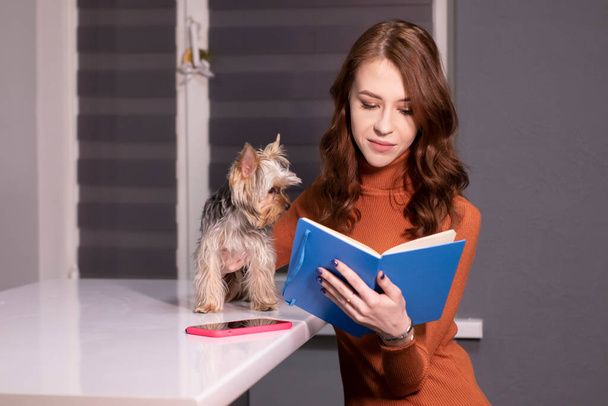 charming brunette woman in brown golf with blue notebook and a Yorkshire Terrier puppy sitting at table in gray room. pet, animal. copy space. - Foto, Bild
