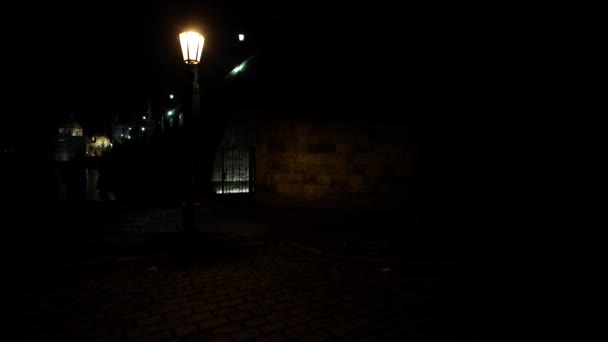 verlichting en een verharde stoep voor voetgangers en op zijn beurt een nachtzicht op de Karelsbrug en de verlichting 's nachts en een vloeiende Vltava rivier in het centrum van Praag - Video
