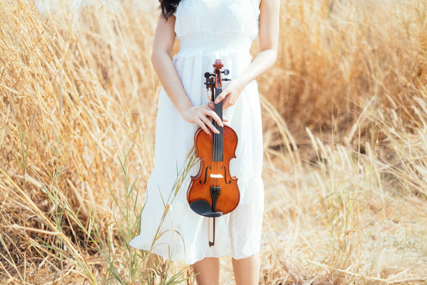 Καλλιεργημένη εικόνα του βιολιού κρατιέται από το χέρι της γυναίκας μπροστά από τα πόδια της με λευκό φόρεμα, ενώ στέκεται σε λιβάδια. - Φωτογραφία, εικόνα