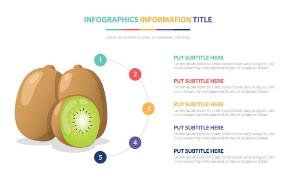kiwi fruit infographic template with 5 colorfull bullet number description vector illustration - Vector, Image