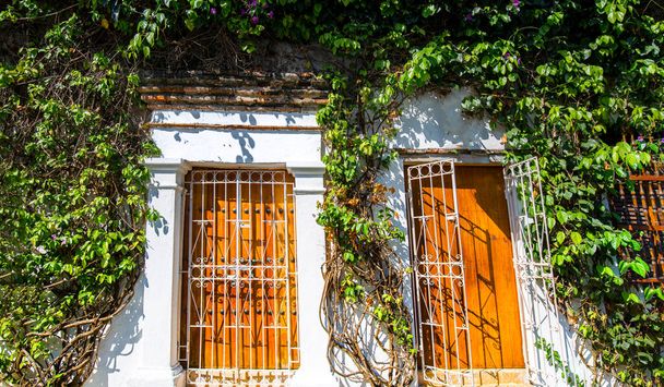 Колумбия, Живописные красочные улицы Картахены в историческом районе Гетсемани вблизи города-крепости, Сьюдад-Амураллада, внесенный в список Всемирного наследия ЮНЕСКО - Фото, изображение