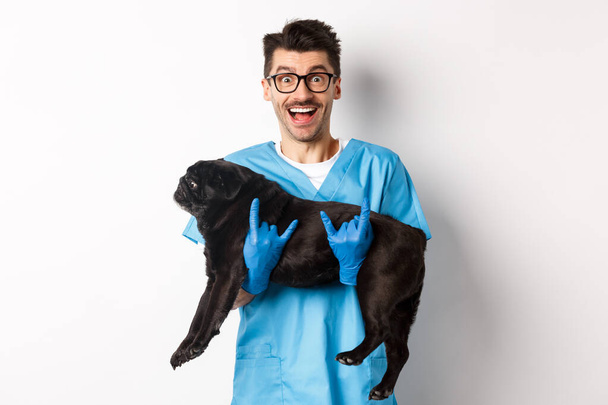 Tierklinik-Konzept. Glücklicher männlicher Tierarzt mit süßem schwarzen Mops, lächelnd in die Kamera, mit Rock-n-Roll-Geste, weißem Hintergrund - Foto, Bild