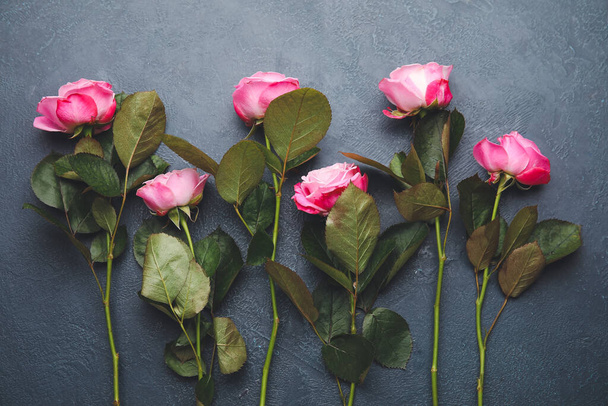 Beautiful pink roses on grey background - Foto, Imagen