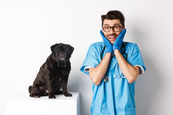Ενθουσιασμένος νεαρός κτηνίατρος γιατρός θαυμάζοντας χαριτωμένο κατοικίδιο ζώο κάθεται στο τραπέζι. Χαριτωμένο μαύρο σκυλί pug περιμένει για εξέταση σε κλινική κτηνίατρο, λευκό φόντο - Φωτογραφία, εικόνα