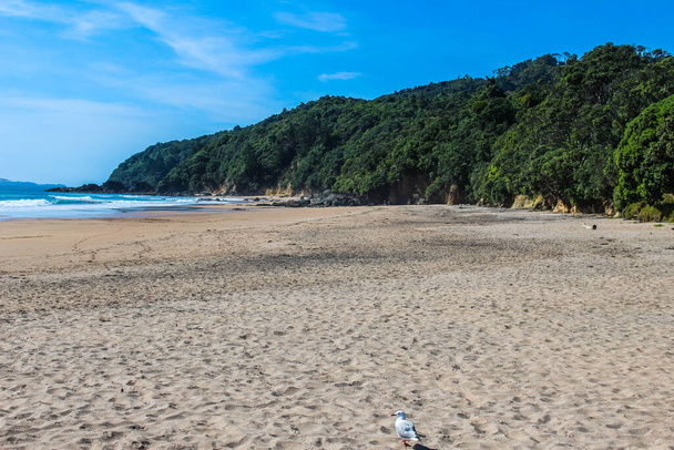 New Zealand beaches, mountains, farms, rivers and forests in the summer of March 2019 - Foto, Imagem