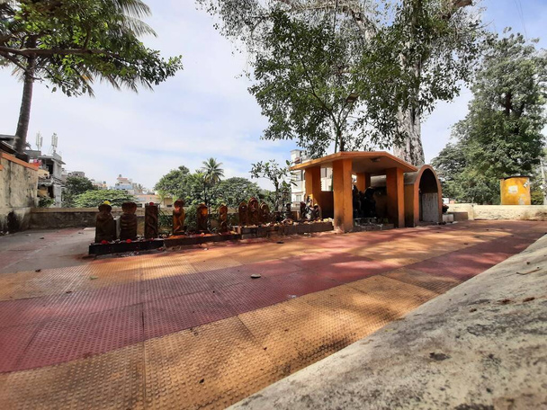 Bangalore, Karnataka, India: 10 gennaio 2021: Primo piano della statua del serpente in pietra o Nagara Kallu in un tempio sotto l'albero del tubo di fronte al tempio Gavi Gangadareshwara, Gavipuram - Foto, immagini