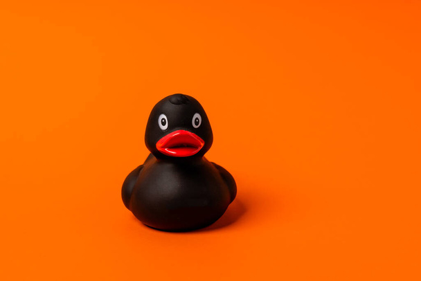  Gumově černá kachna na oranžovém pozadí. Koncept různorodosti - Fotografie, Obrázek