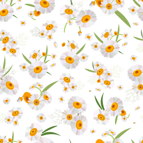 Spring chamomile flowers on a white background. The most beautiful spring flowers, floral print pattern - Vektor, kép
