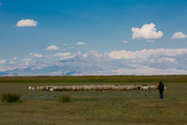 Sultan Marshes are located in the triangle formed by Develi, Yahyal and Yeilhisar districts within the provincial borders of Kayseri in the Central Anatolia Region. - Zdjęcie, obraz