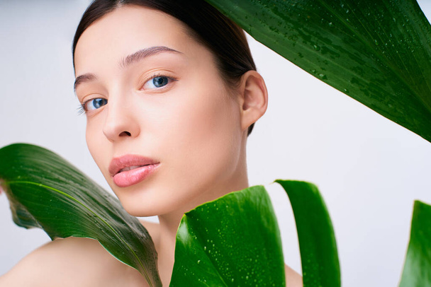 Young beautiful woman with healthy skin of face and palm leaves. Closeup fresh face of an attractive caucasian girl with green plants. Model with naturel makeup. Skin care concept. - Foto, Imagen