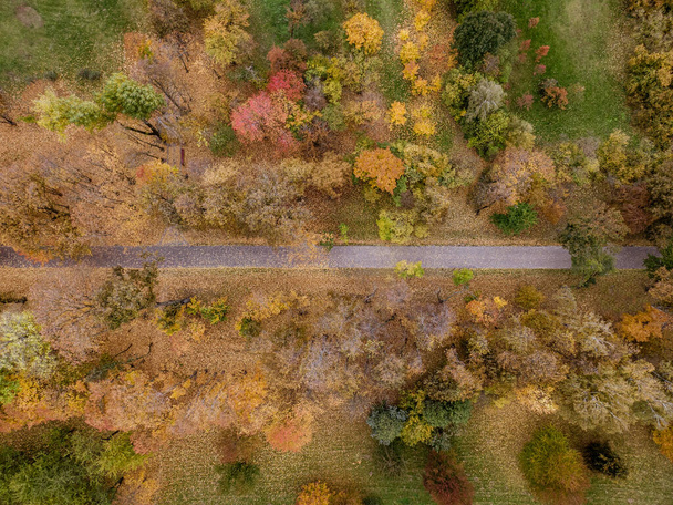 Carretera en bosque de otoño, vista al dron - Foto, Imagen