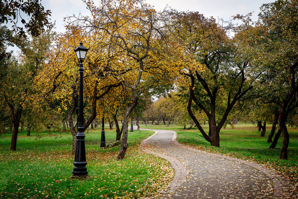Gasse im städtischen Herbstpark. - Foto, Bild