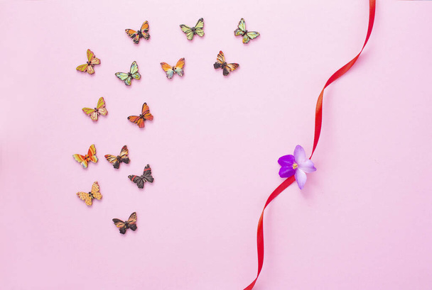 composición de primavera, cintas rojas sobre fondo rosa con flores violetas mariposas de madera multicolores - Foto, Imagen