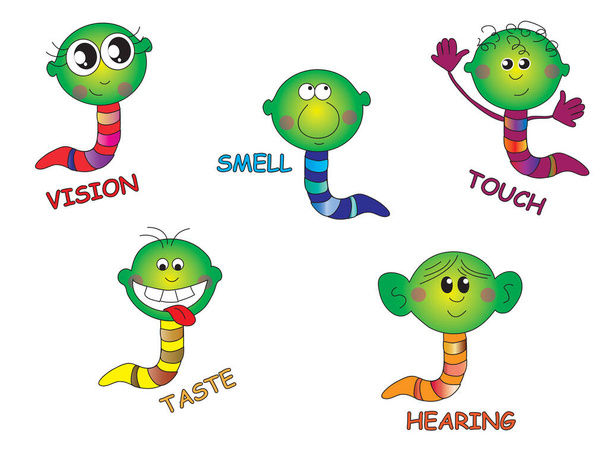 ilustrace pěti smyslů: zrak, čich, chuť, sluch, dotek - Fotografie, Obrázek