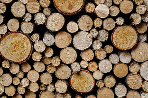 Круглая текстура дров. Стена из сложенных деревянных бревен в качестве фона. Куча дров готова к зиме. - Фото, изображение