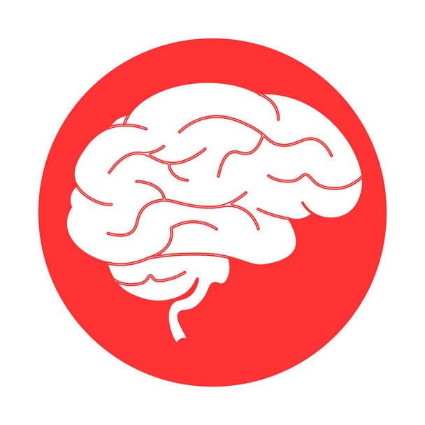 Icona di illustrazione del cervello per il web design isolato su sfondo bianco - Vettoriali, immagini