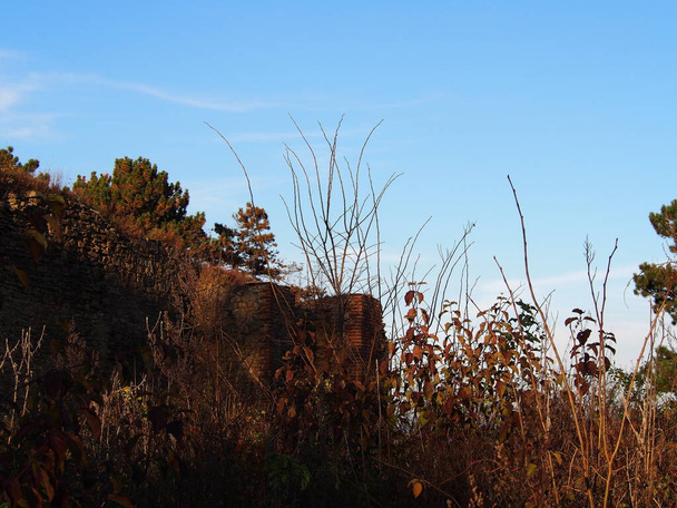 Herbstnachmittag im Wald in der Nähe der Ruinen einer alten Steinburg, sonniger kalter Tag, wilde Natur, Abenteuerreise, Familienreise, Hintergrundbilder - Foto, Bild