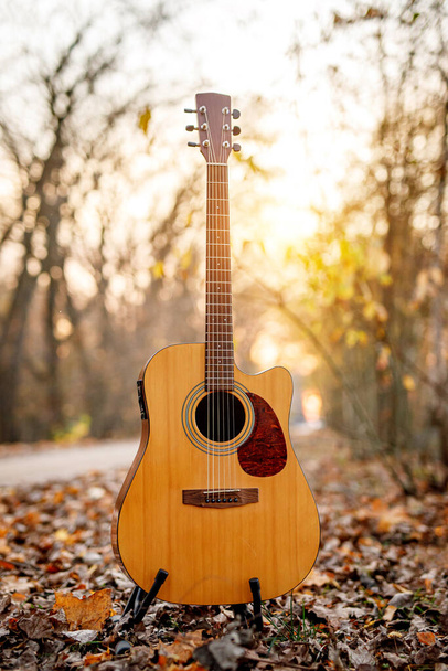 Akustinen kitara syksyllä metsässä - Valokuva, kuva