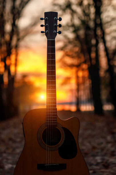 Guitare acoustique dans la forêt sombre d'automne - Photo, image