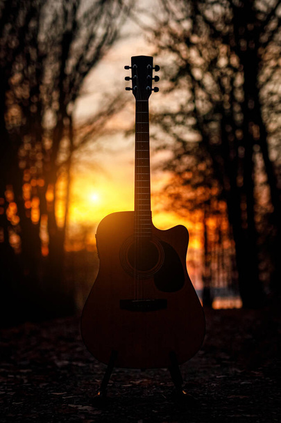 Акустична гітара в темному осінньому лісі
 - Фото, зображення