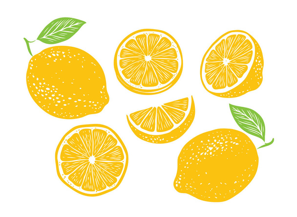 Fresh lemon fruits, collection of vector - Вектор, зображення