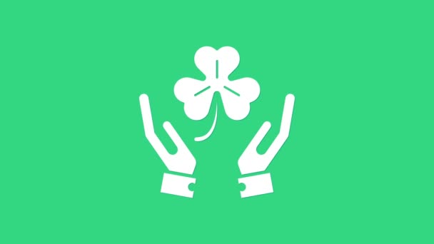 緑の背景に隔離された4枚の葉のクローバーアイコンを持つ白い人間の手。聖パトリックの日だ。4Kビデオモーショングラフィックアニメーション - 映像、動画