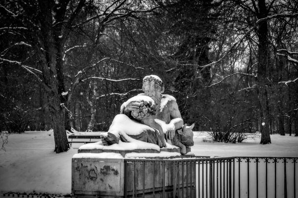 雪深い冬の日にポーランドのワルシャワにある美しい公園 - 写真・画像