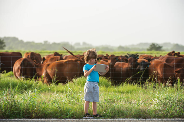 Child farmer with tablet modern cow farm. Summer kid at countryside. Children enjoy in countryside. Boy helper work. - Foto, Imagem