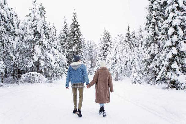 Back view of couple walking in winter forest - Zdjęcie, obraz