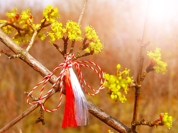 Martisor - símbolo rumano del comienzo de la primavera
. - Foto, Imagen