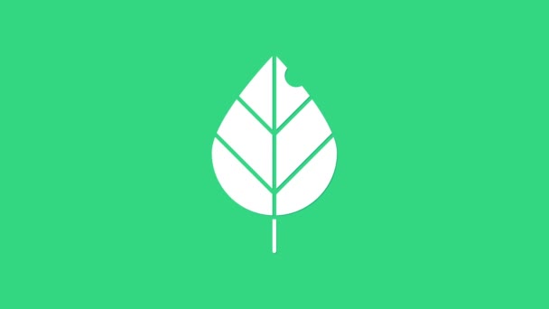 Fehér levél ikon elszigetelt zöld alapon. Friss természetes termék szimbólum. 4K Videó mozgás grafikus animáció - Felvétel, videó