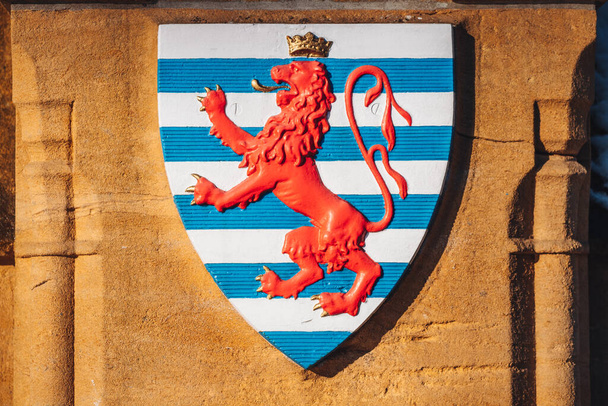 Люксембургский традиционный щит с красным львом и голубыми полосами - Фото, изображение