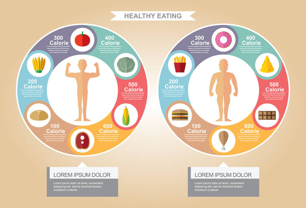 Infografische geschikte calorieën om te consumeren - Vector, afbeelding