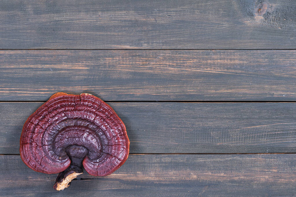 Close up of Ling zhi mushroom, Ganoderma lucidum mushroom on wood table - Foto, Imagem