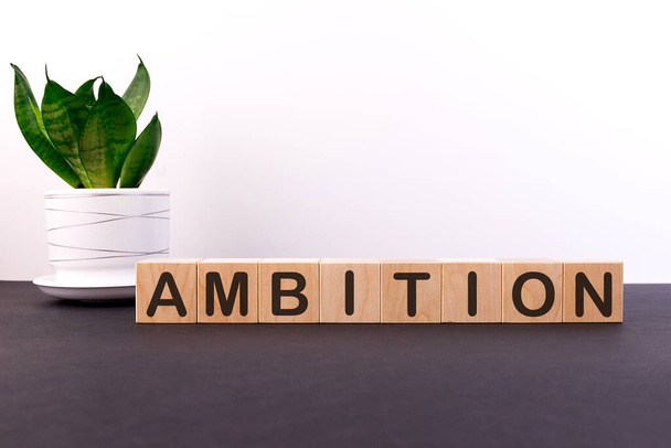 Word AMBITION made with wood building blocks on a light background - Zdjęcie, obraz