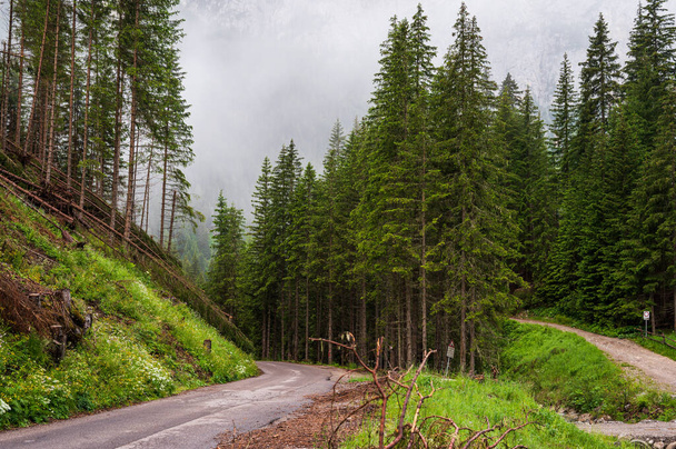 wunderschöne Landschaft der Alpen, Passo San Pellegrino, Norditalien - Foto, Bild