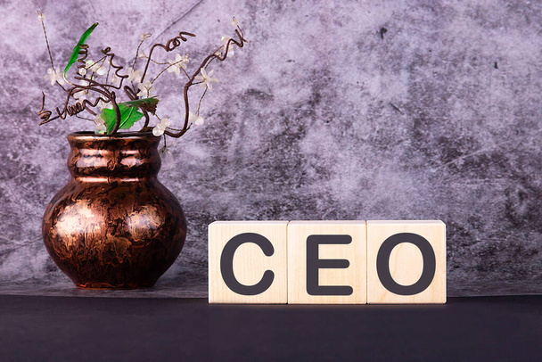 Word CEO made with wood building blocks on a gray background - Foto, Imagen