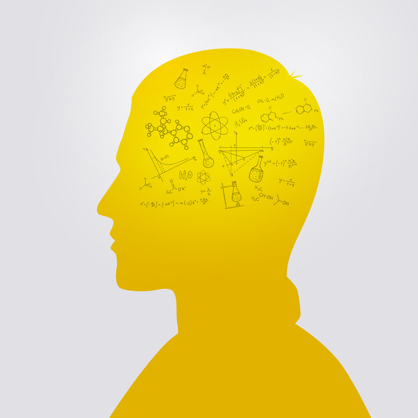 Man's head with education doodle - Vector, Image