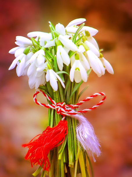 sněženky kytice s tretka - Fotografie, Obrázek