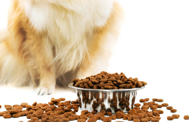 Dog food close-up on a white background. Isolate the feed. Bowl for food. - Photo, image